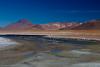 _MG_5395.jpg