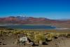 _MG_5316.jpg