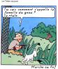 IMG_3282.jpeg