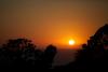 IMG_9216.jpeg