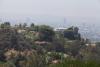 IMG_9207.jpeg