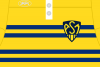 1980 Maillot ASM Top14 Jaune.png