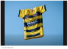 Maillot domicile.png