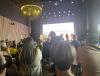 IMG_8381.jpeg