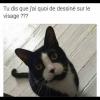 Chat c'est Parigot !.jpg