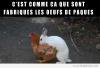 lapin-poule-fabrication-oeufs-paques-500x337.jpg