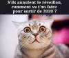 FB_IMG_1603918070912.jpg