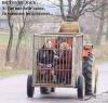 Si-tas-une-belle-caisse-tu-ramases-les-gonzesses.jpg