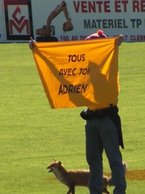 Cliquer pour voir l'image en taille réelle