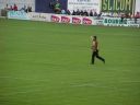 Adrien_Chalmin_ASM-RCT_renard_13.jpg