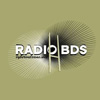 logo bds